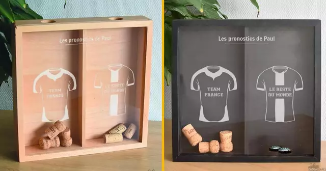 collecteur-capsules-pronostic