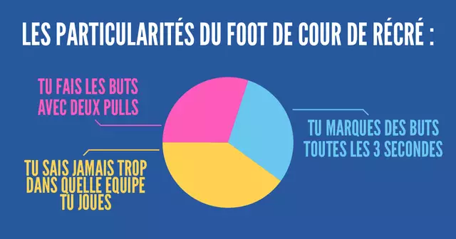 une_infographie_camembert