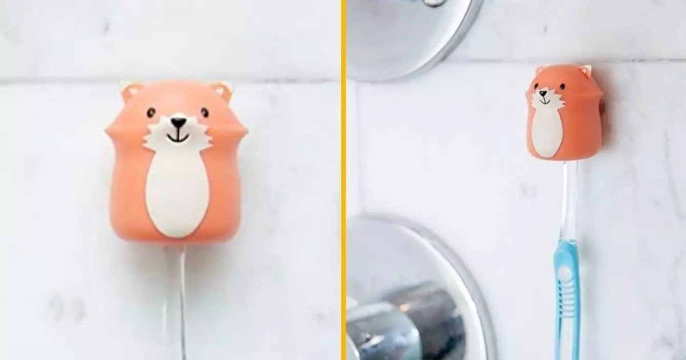 porte-brosse-a-dent-renard