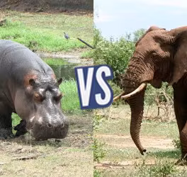 battle-355328-1423526630