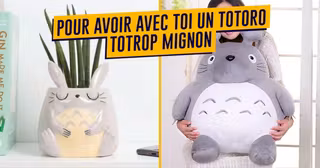 UNE_SHOPPING_TOTORO