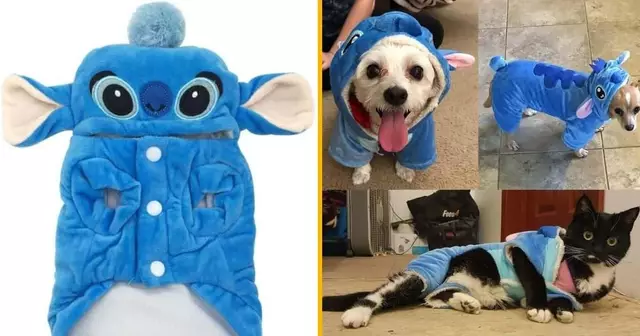 deguisement-stitch-chat-chien