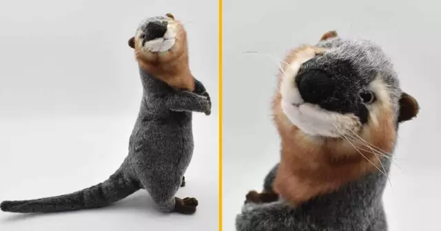 peluche-loutre