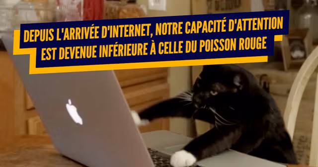 une_cerveau_internet