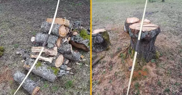 arc-bambou-entrainer-epreuve-fleche