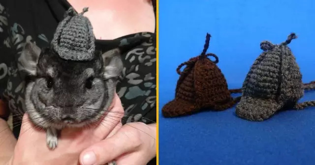 chapeau-detective-rongeur