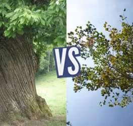 battle-361247-1425493779