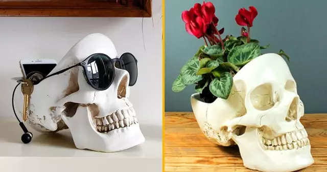 crane-squelette-ranger