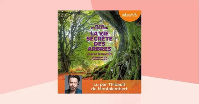 livre-audio-la-vie-secrete-des-arbres-peter-wohlleben