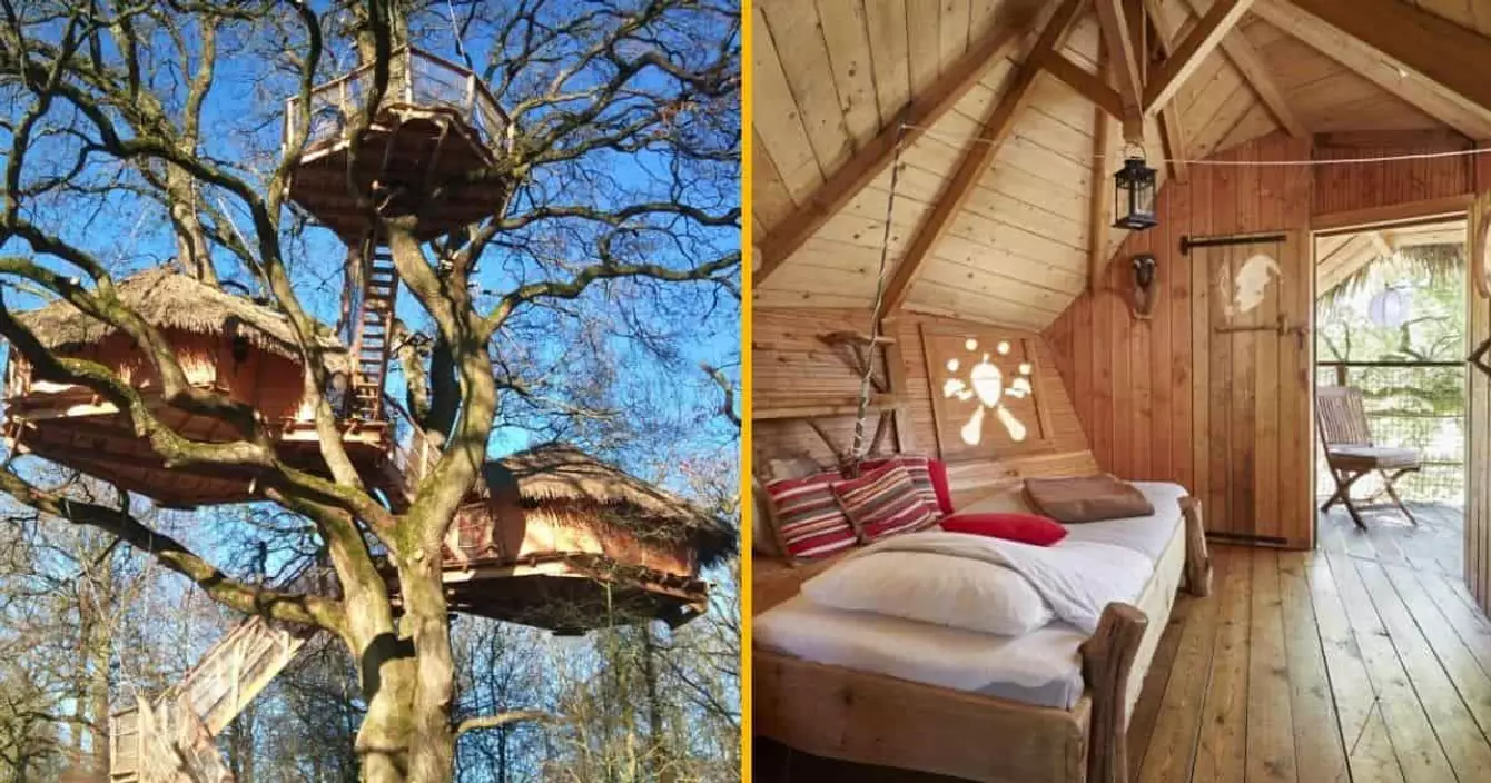 cabane-arbres-basse-normandie