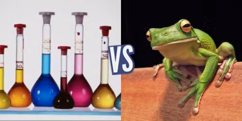 battle-347330-1420044706