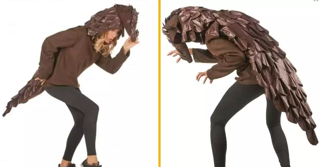 deguisement-pangolin-faire-bonne-impression-soiree