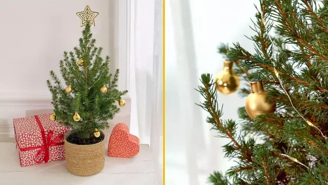 mini-sapin-poser-table