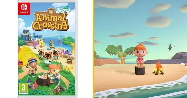 jeu-animal-crossing-new-horizons-nintendo-switch