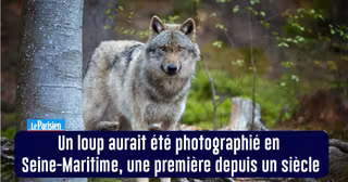 BONNES_NOUVELLES_20AVRIL_2