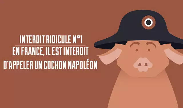 LOIS-INTERDITES-VECTO-07