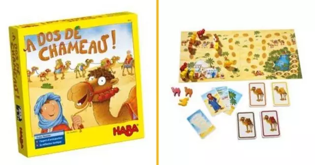 jeu-amener-chameau-oasis