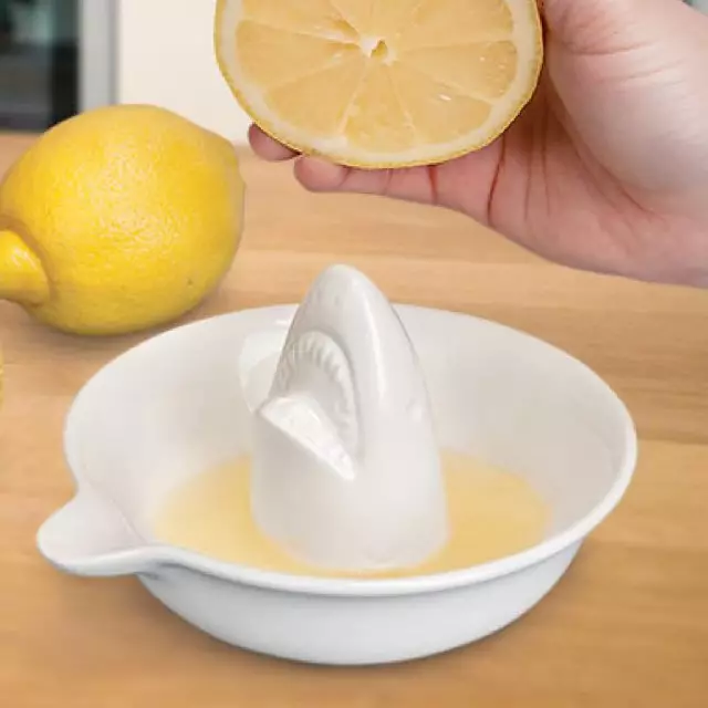 423826325527069979_344c2b92ce7e