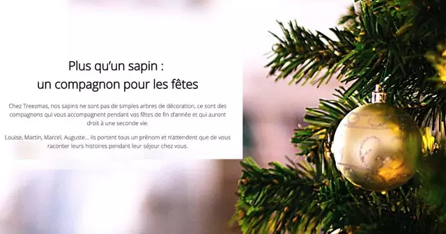 sapin-noel-noel-ensemble