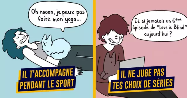 une-chat