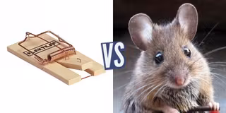 battle-384670-1434018858