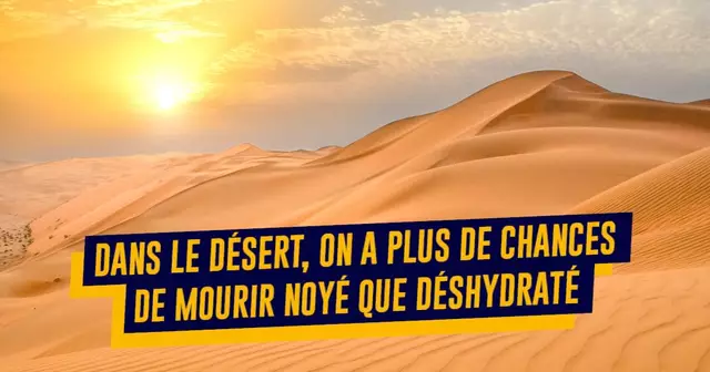 UNE_REPUSH_DESERT