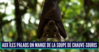 5427904169_f4795579ea_o (1)