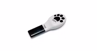 patte-chat-vibrante-masser-dos-graou