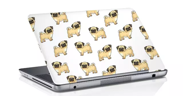 autocollant-carlin-ordinateur