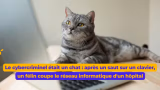 chat