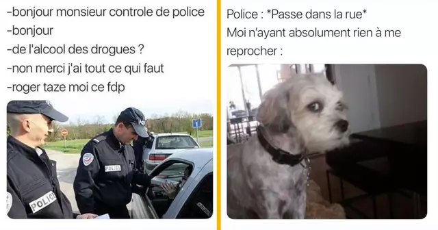 top memes police
