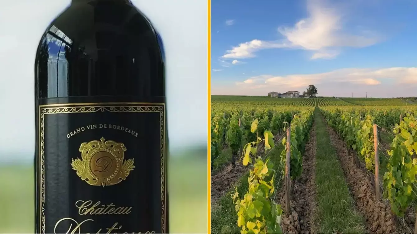 DEGUSTATION-VIN-BORDEAUX-WINALIST