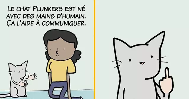 UNE-quentin-chat-mains