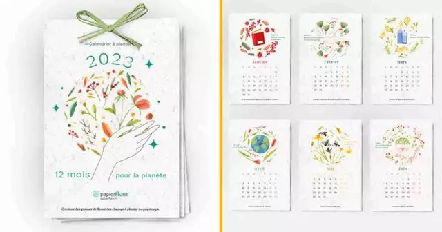 calendrier-plante-planter