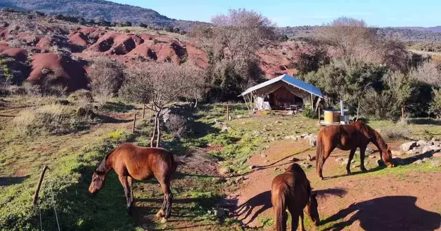 equi-lodge-spa-lac-salagou-occitanie
