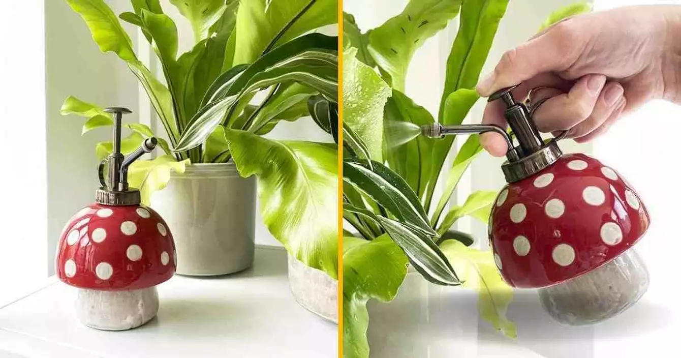 -vaporisateur-champignon