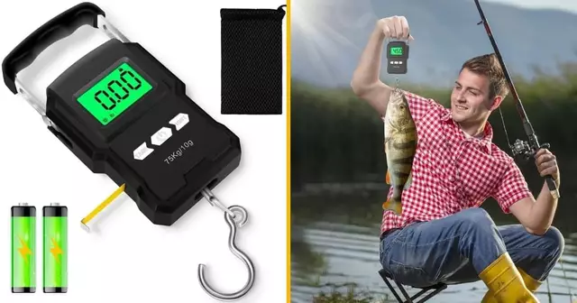 balance-electronique-poisson-