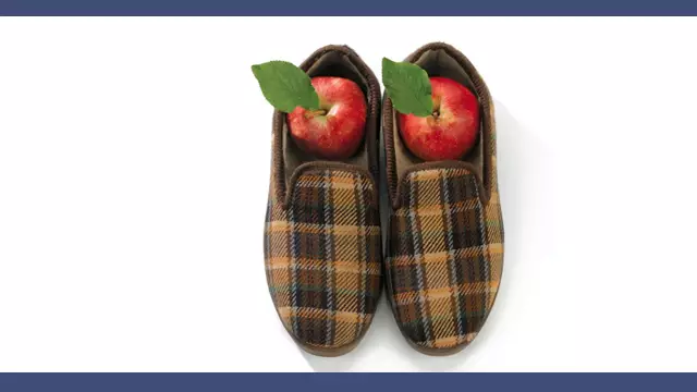 miniature-youtube-cuisine-litterale