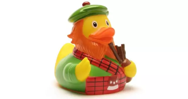 canard-bain-ecosse