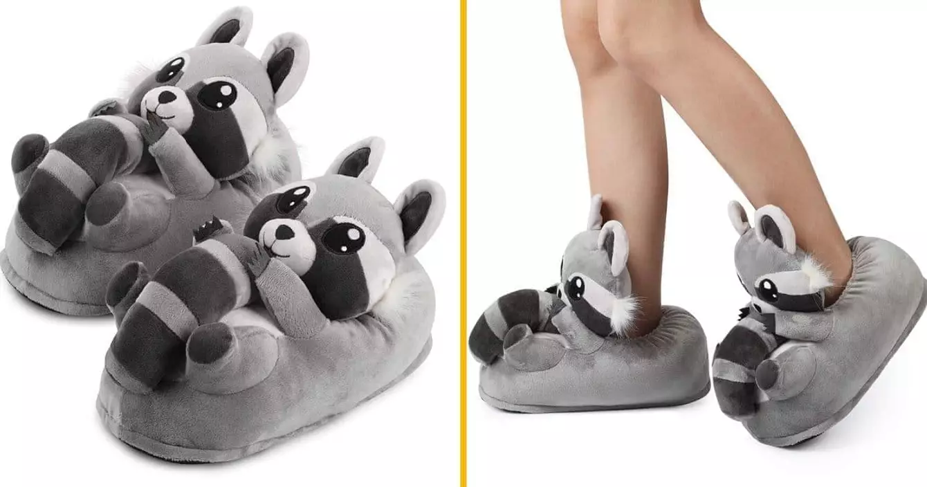 chaussons-raton-laveur