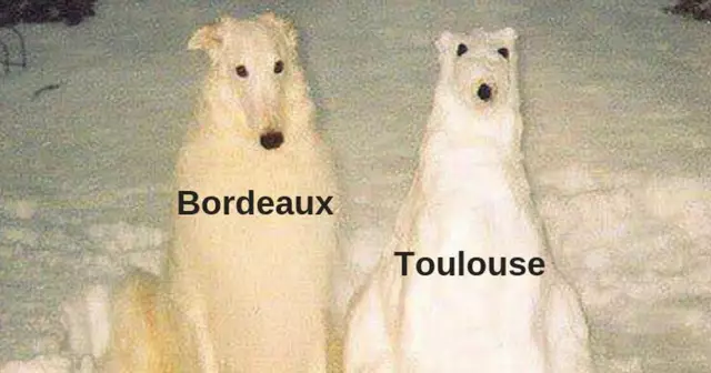 une meme bordeau
