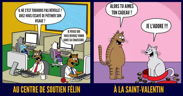 UNE-illus-chat-vie