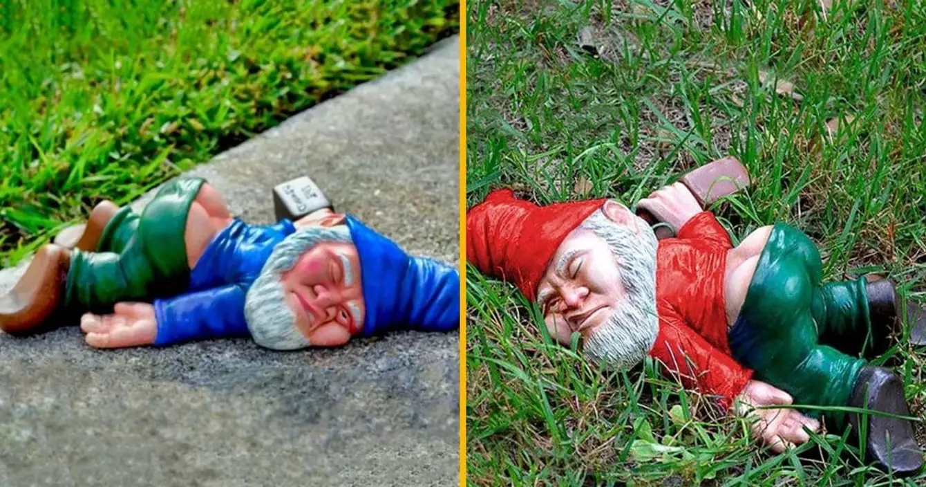 nain-jardin-completement-ivre