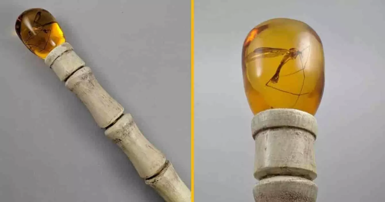 replique-fossilise-john-hammond-jurassic-park