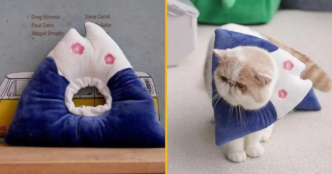 collerette-chat-mont-fuji