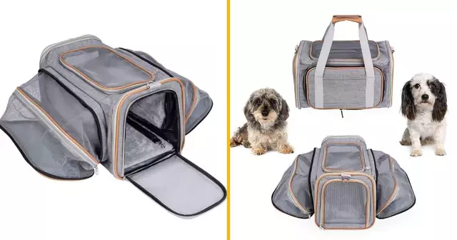 sac-extensible-transporter-animaux