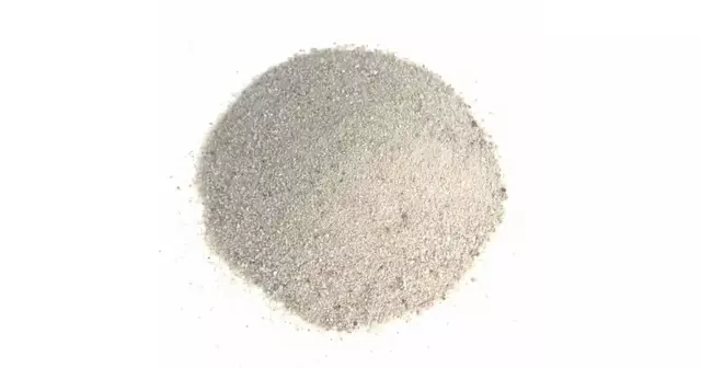 sable-blanc-de-floride