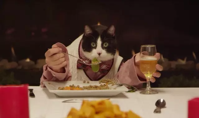 3039942-poster-p-1-watch-13-dogs-and-a-cat-have-a-pefectly-civilized-holiday-feast-for-freshpet