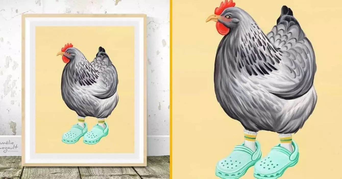poster-poule-crocs