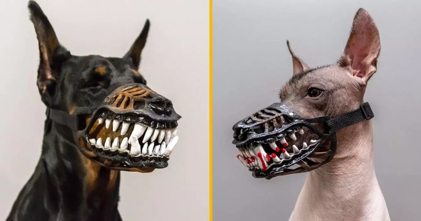 museliere-transforme-chien-loup-garou